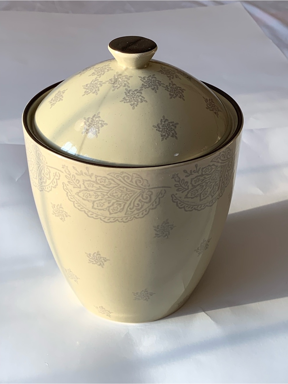 222 Fifth Chandi Sage Large Canister Jar Genuine Stoneware Discontinued